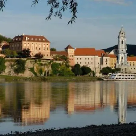 Newly Renovated Cheerful In