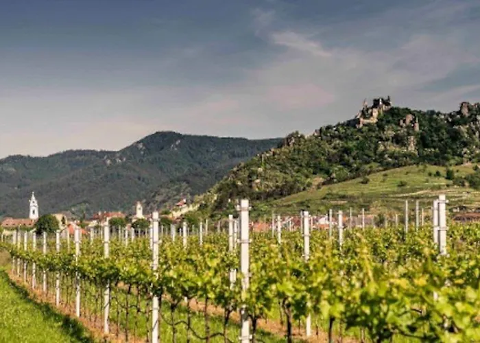 Newly Renovated Cheerful In Duernstein